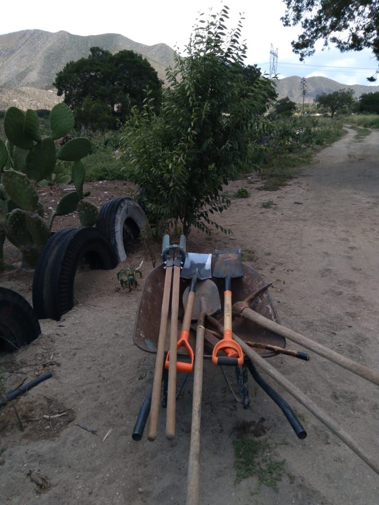 Los cultivo de maguey atraen la lluvia, promueven la existencia de diversos insectos y plantas.